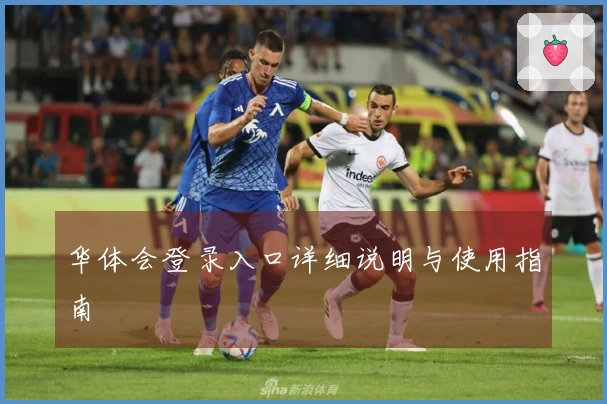 华体会登录入口详细说明与使用指南