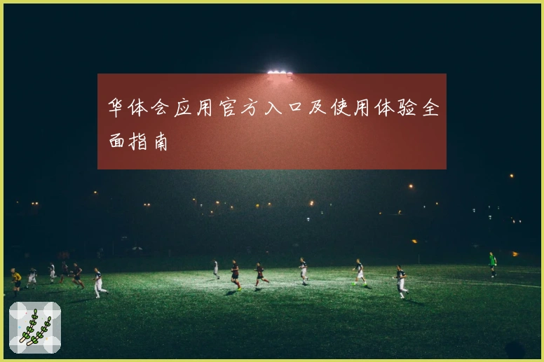 华体会应用官方入口及使用体验全面指南