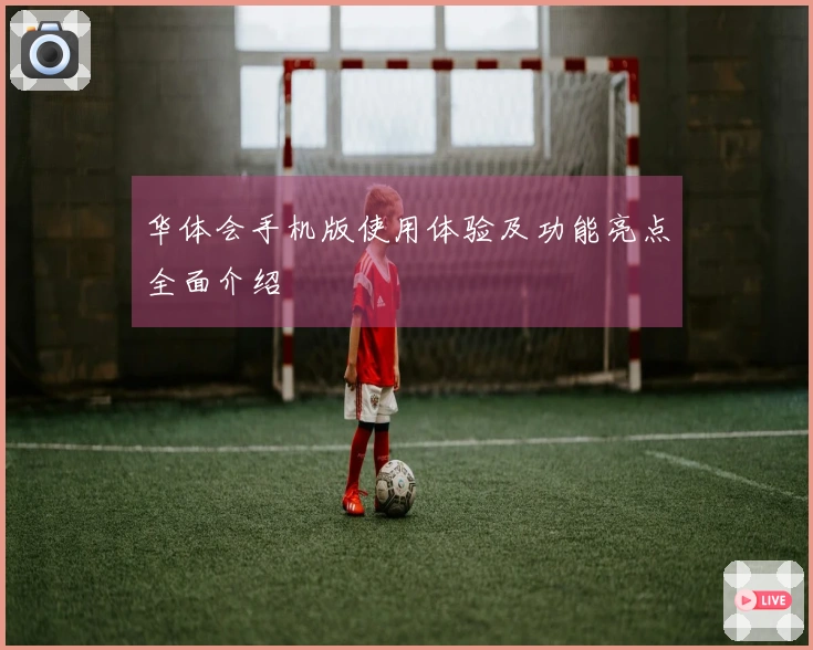 华体会手机版使用体验及功能亮点全面介绍