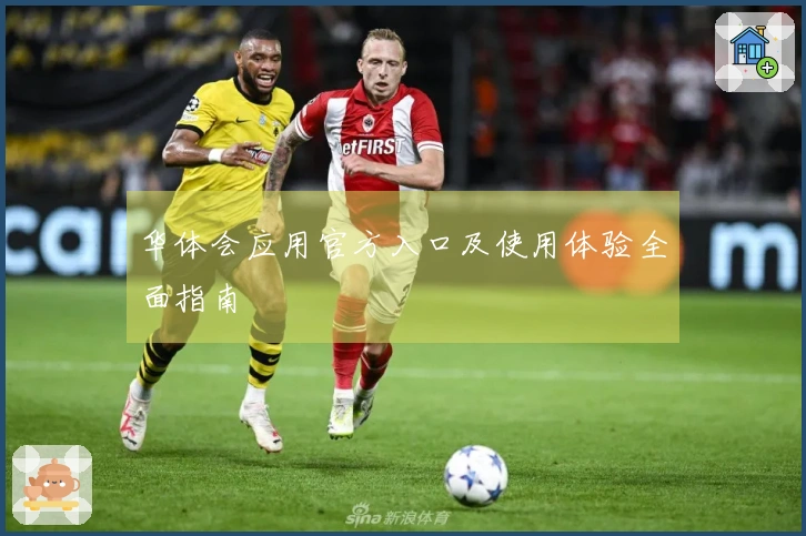 华体会应用官方入口及使用体验全面指南